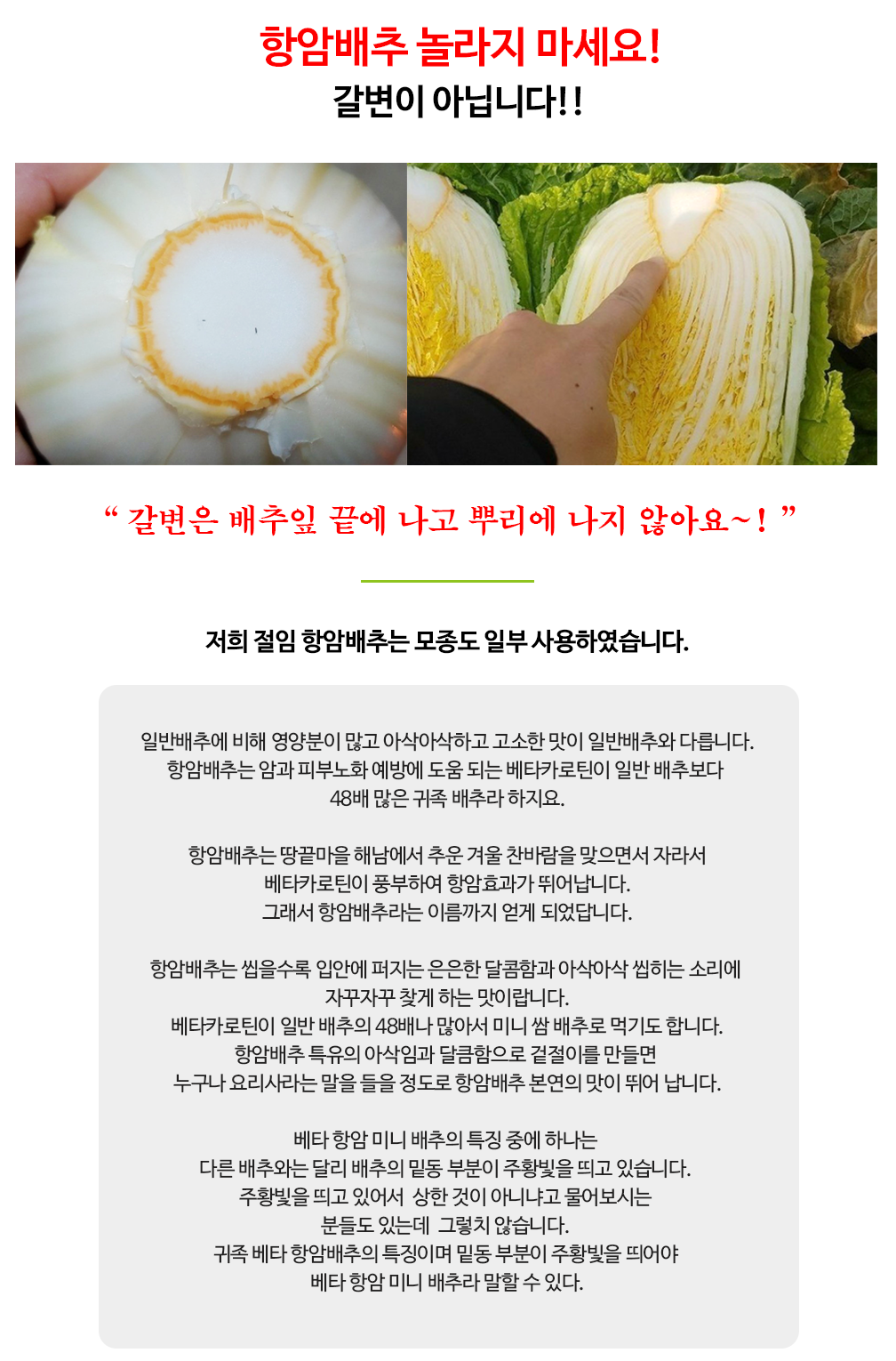 상세페이지-항암배추갈변.png